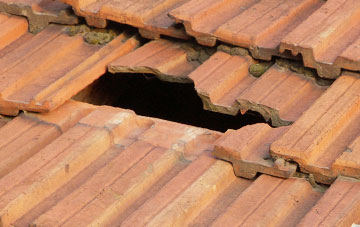 roof repair Strathkinness, Fife